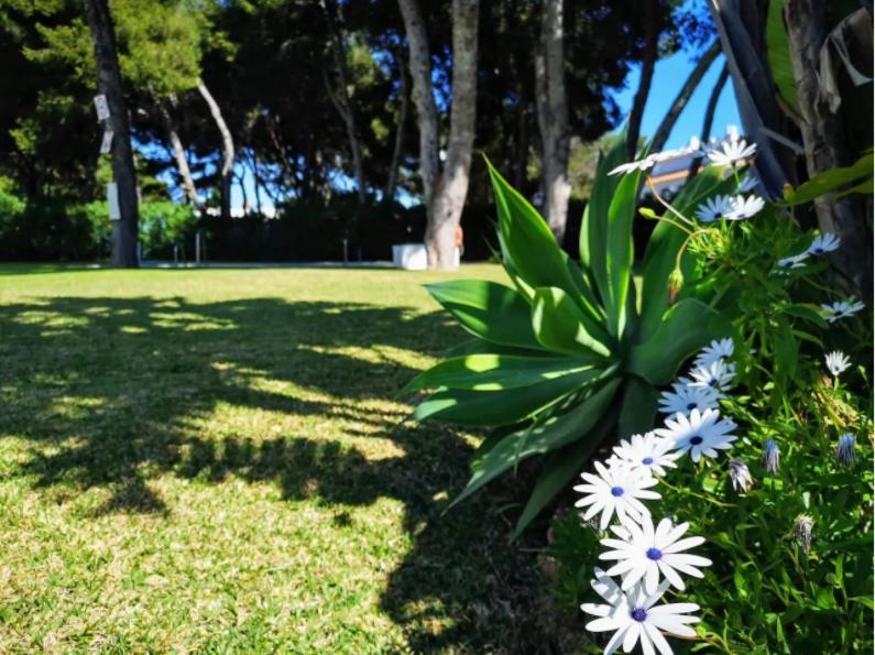 Appartamento ¡nuevo! Zona Tranquila Cerca De La Playa De La Carihuela Torremolinos